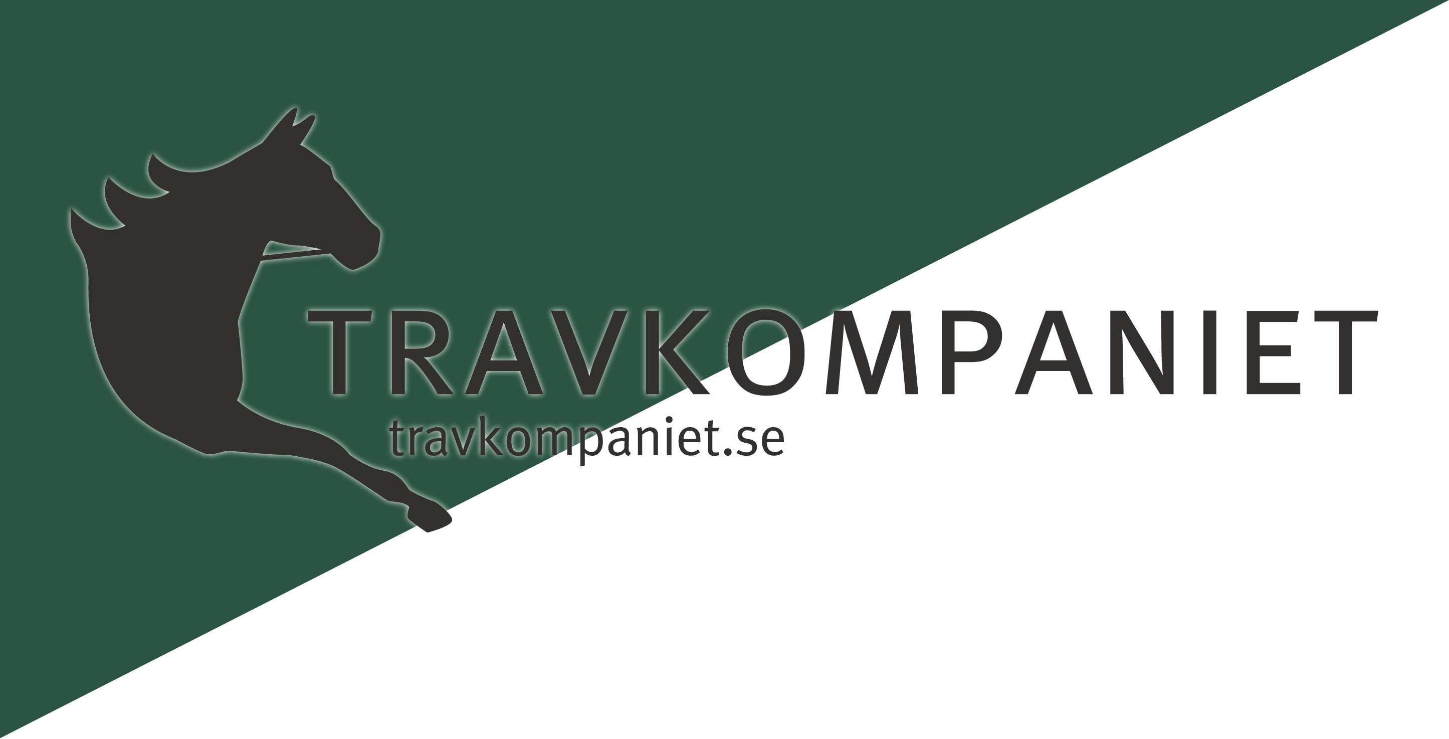 Travkomp vimpel low